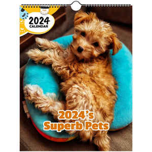 2024's Superb Pets: 2024 Wall Calendar (Published)