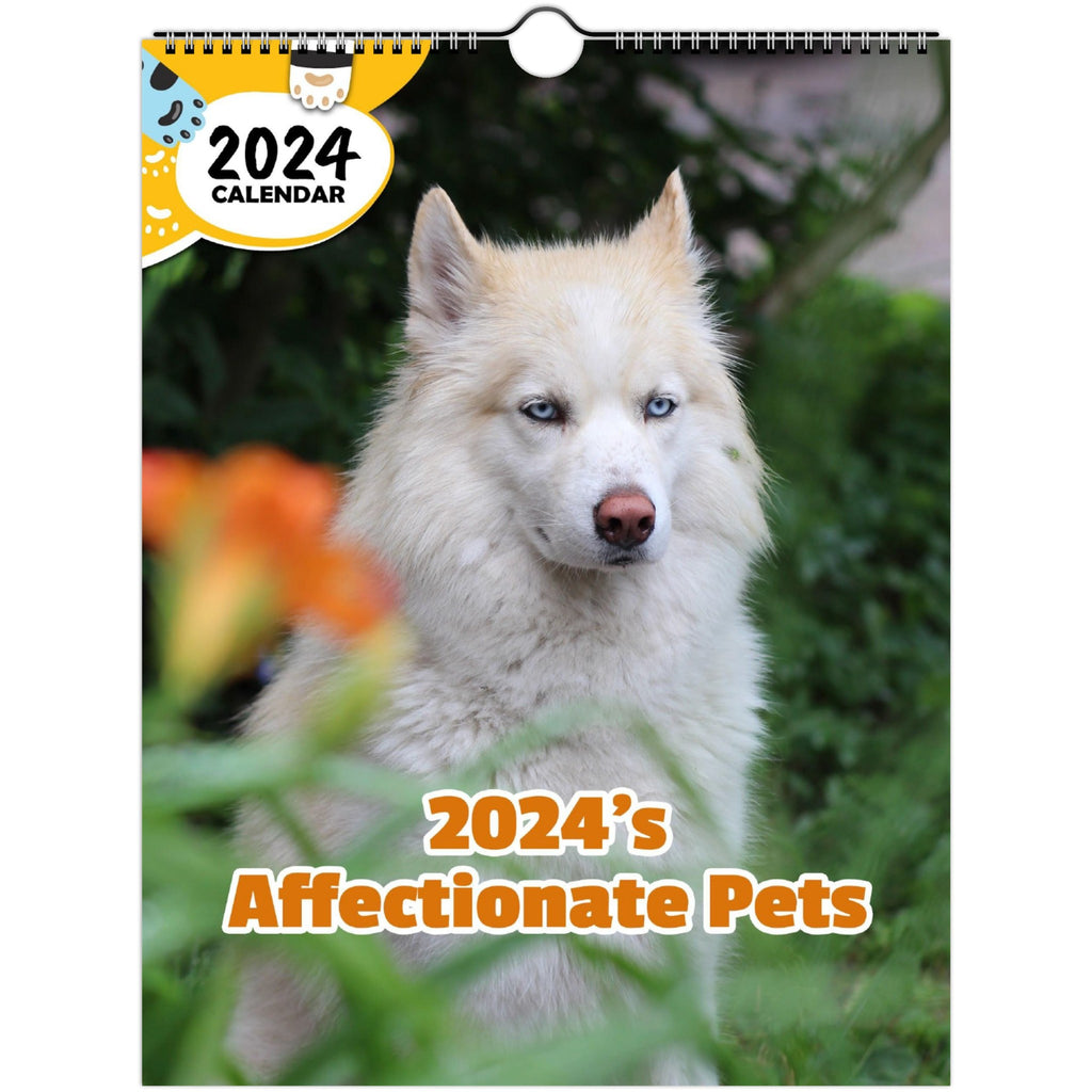 2024's Affectionate Pets: 2024 Wall Calendar (Published)