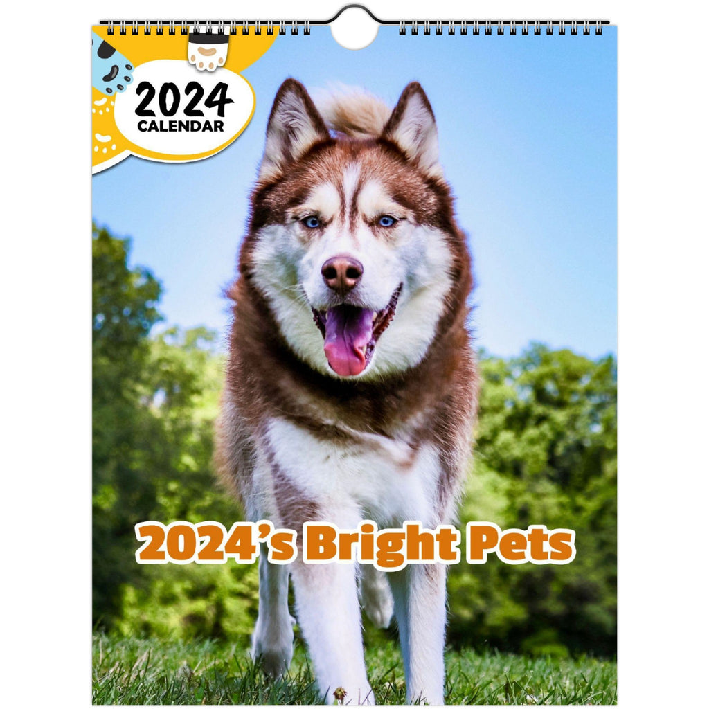 2024's Bright Pets: 2024 Wall Calendar (Published)