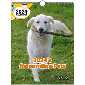 2024's Astounding Pets Volume Two: 2024 Wall Calendar (Published)