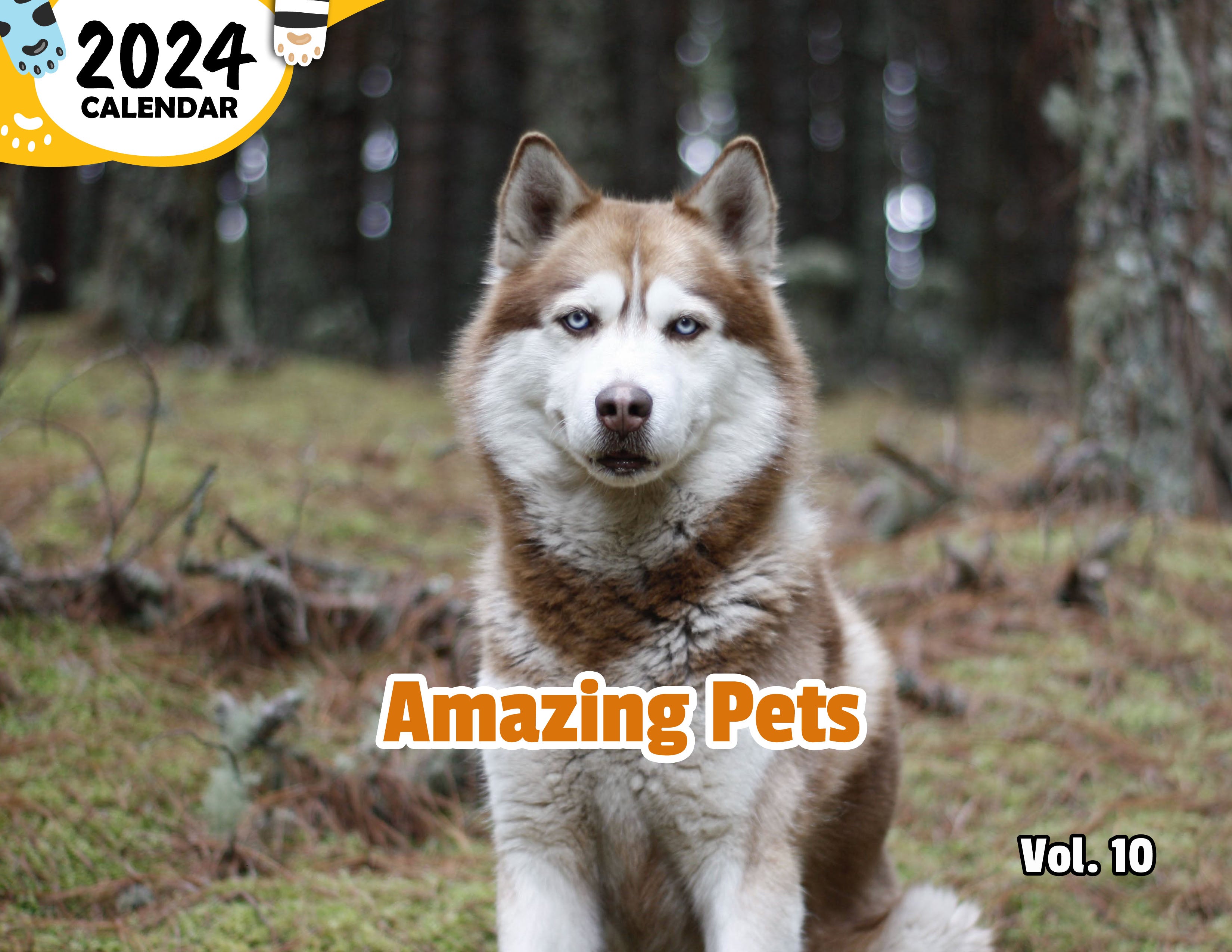 Amazing Pets Volume Ten: 2024 Wall Calendar (Published)