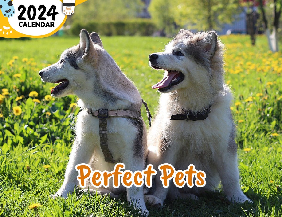 PerfectPets 1200x1200 ?v=1686877789