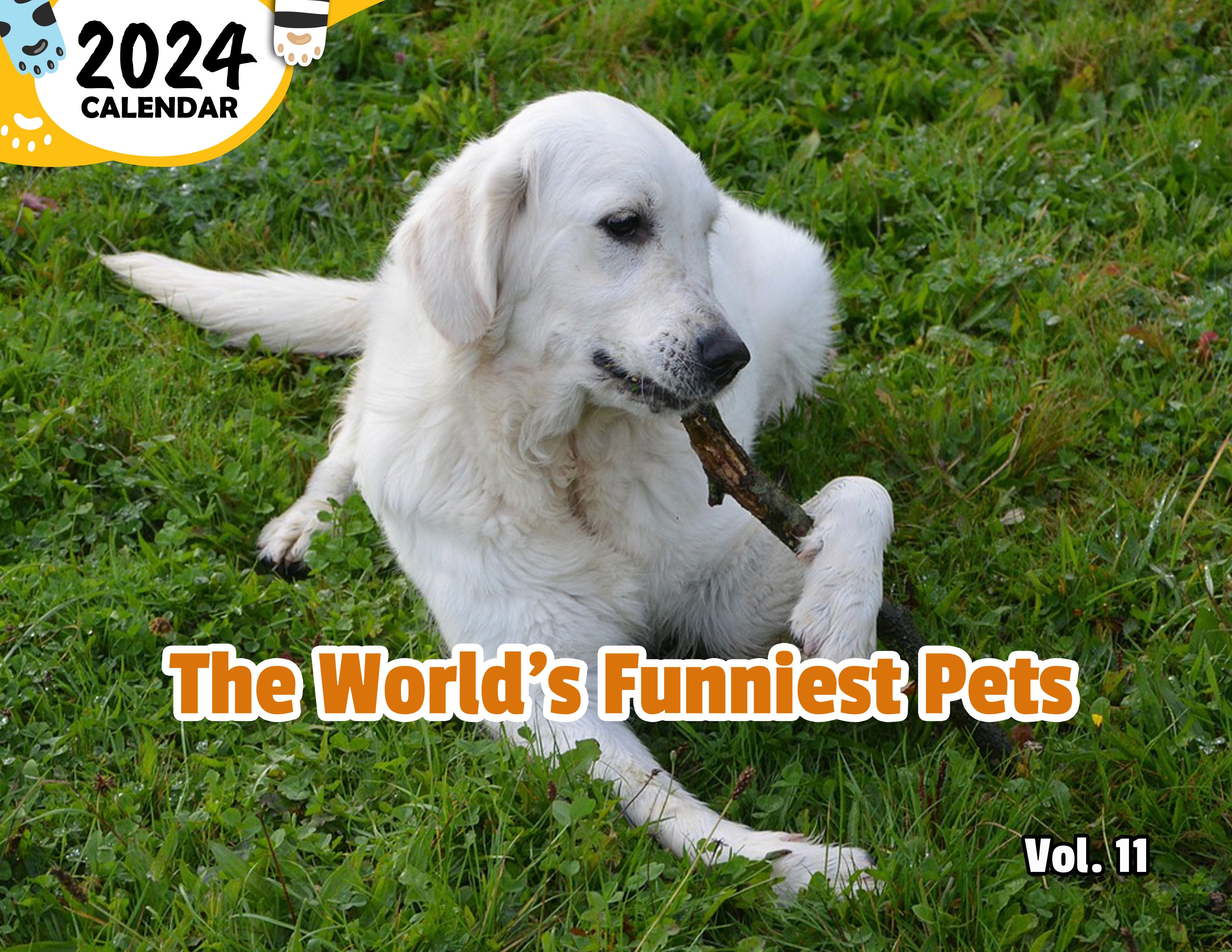 The World's Funniest Pets Volume Eleven: 2024 Wall Calendar (Published)