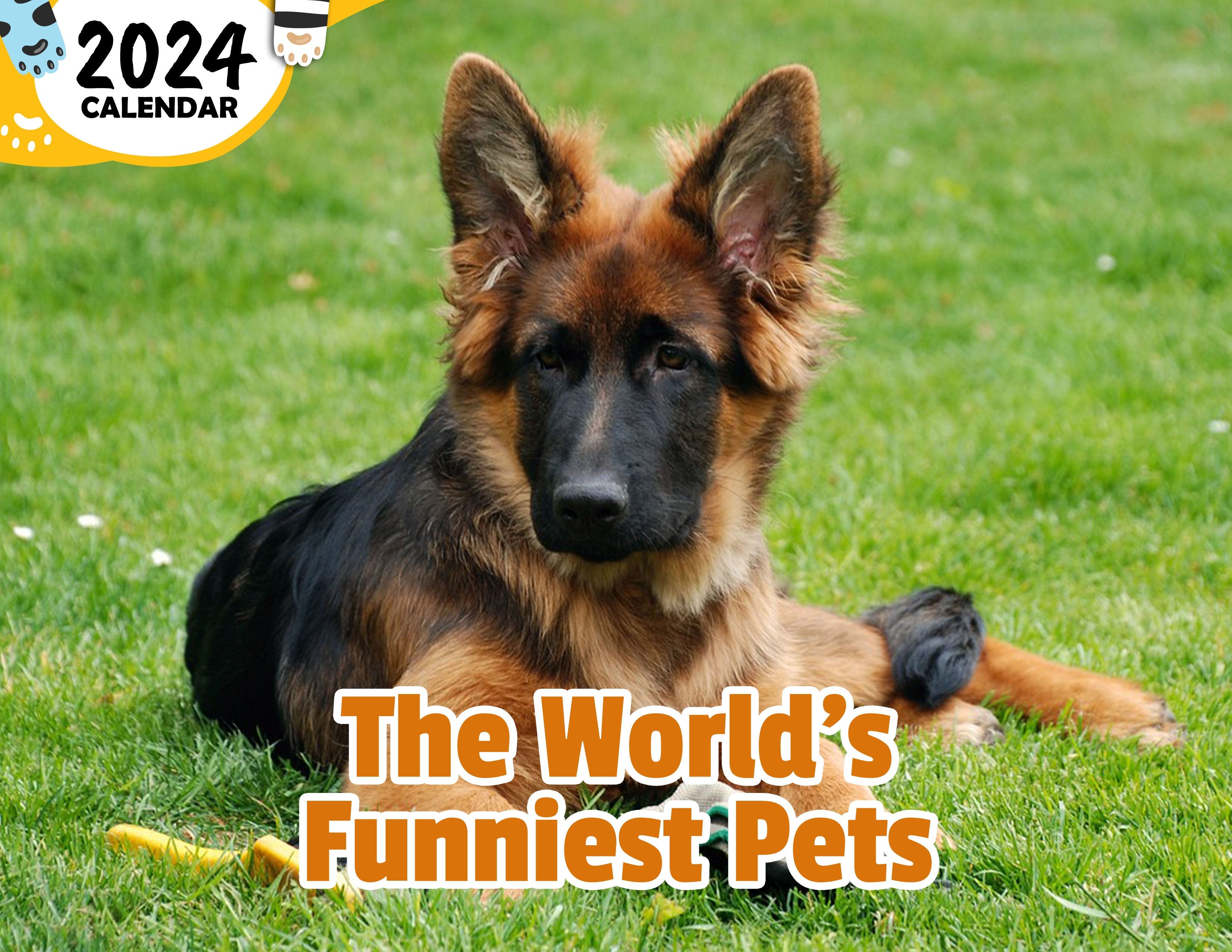 The World's Funniest Pets: 2024 Wall Calendar (Published)