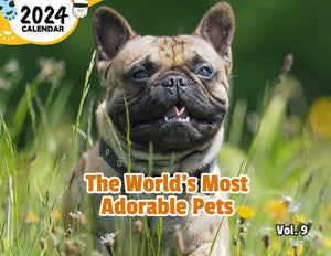 The World's Most Adorable Pets Volume Nine: 2024 Wall Calendar (Published)