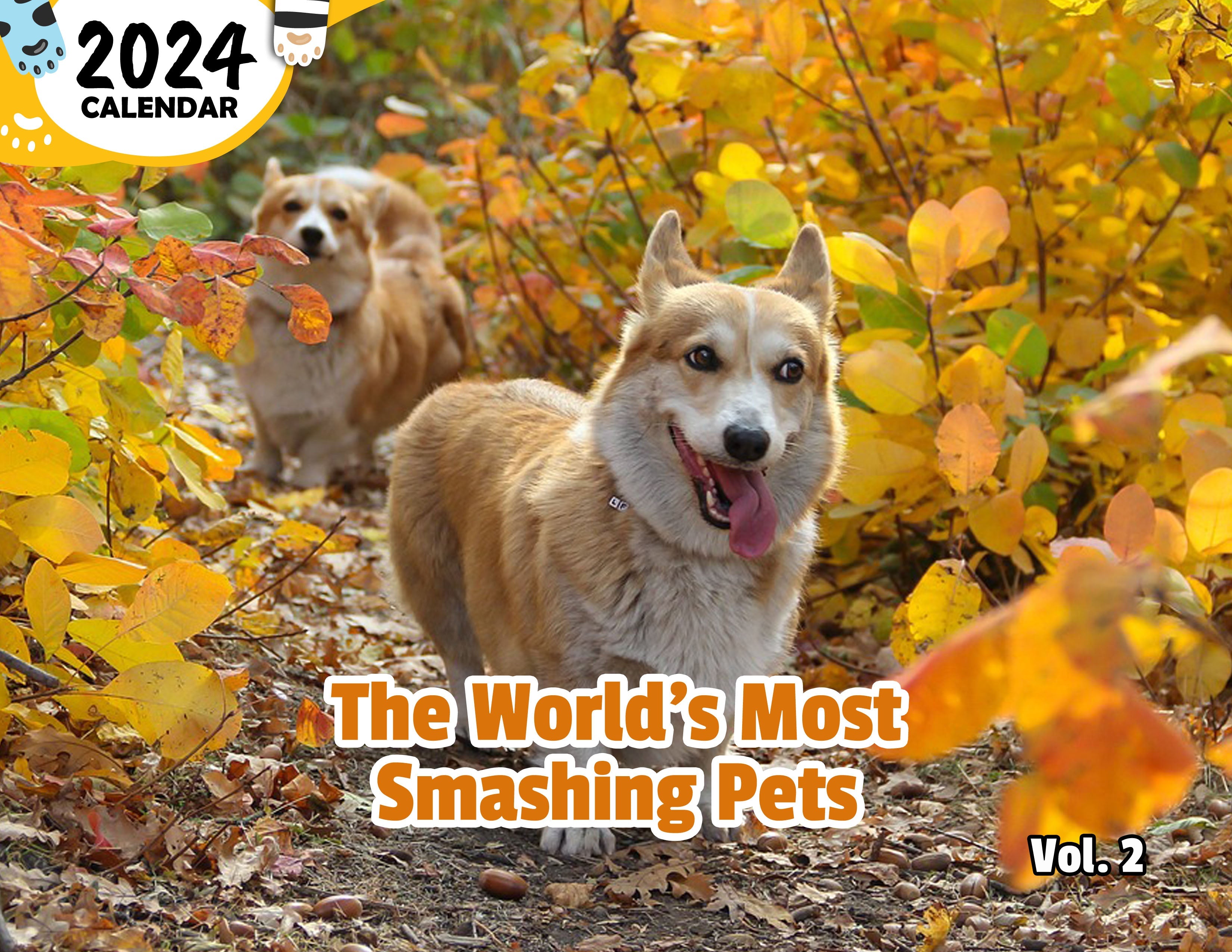 The World's Most Smashing Pets Volume Two: 2024 Wall Calendar