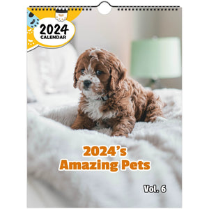 2024's Amazing Pets Volume Six: 2024 Wall Calendar (Published)