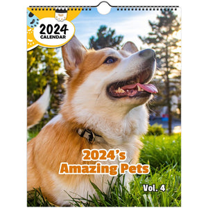 2024's Amazing Pets Volume Four: 2024 Wall Calendar (Published)