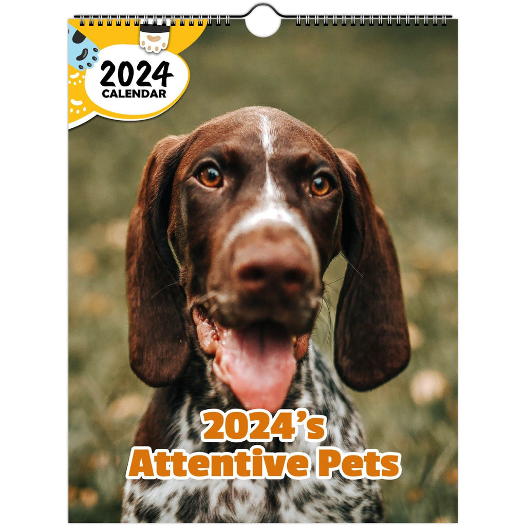 2024's Attentive Pets: 2024 Wall Calendar (Published)