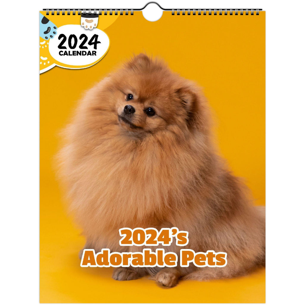 2024's Adorable Pets: 2024 Wall Calendar (Published)