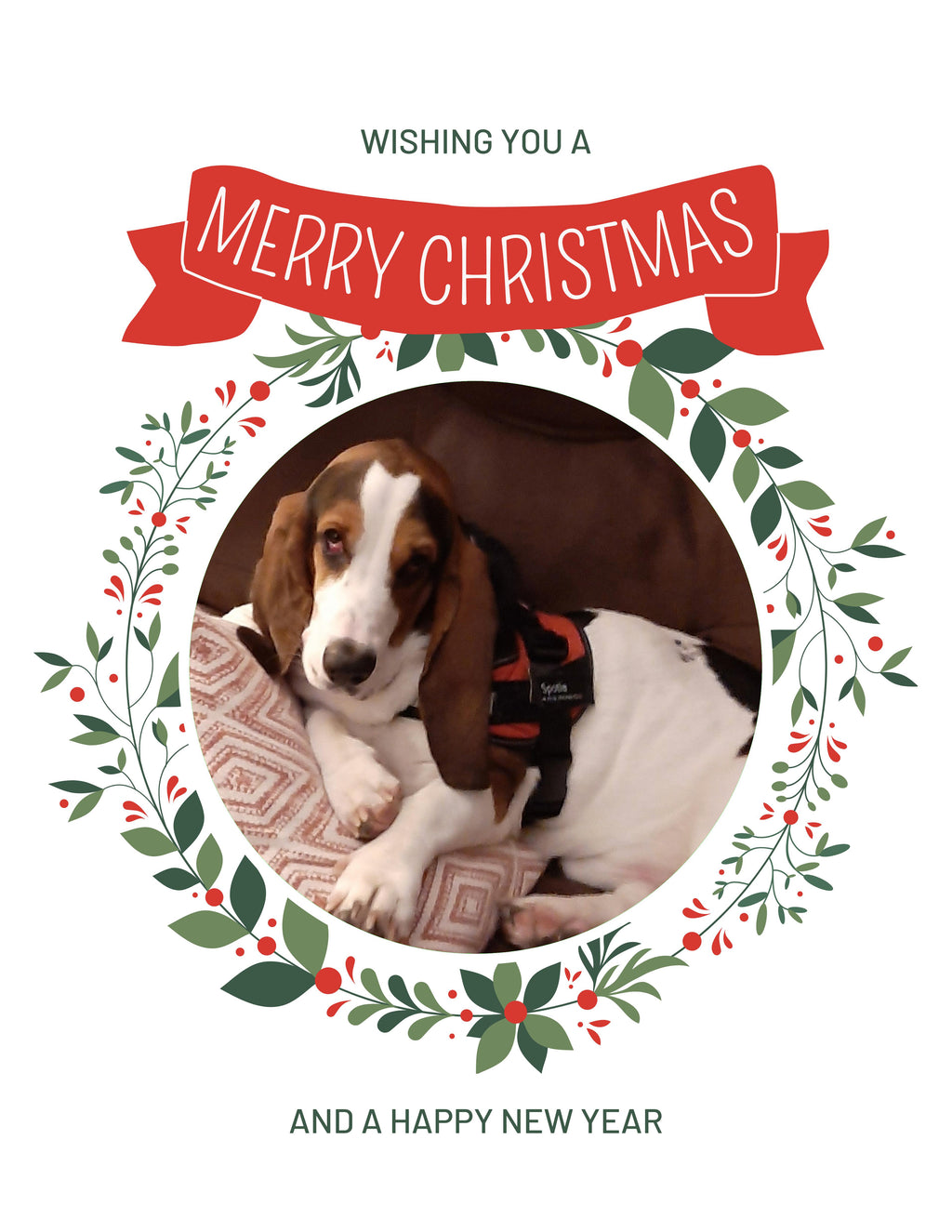 Basset hound Christmas Greeting Cards