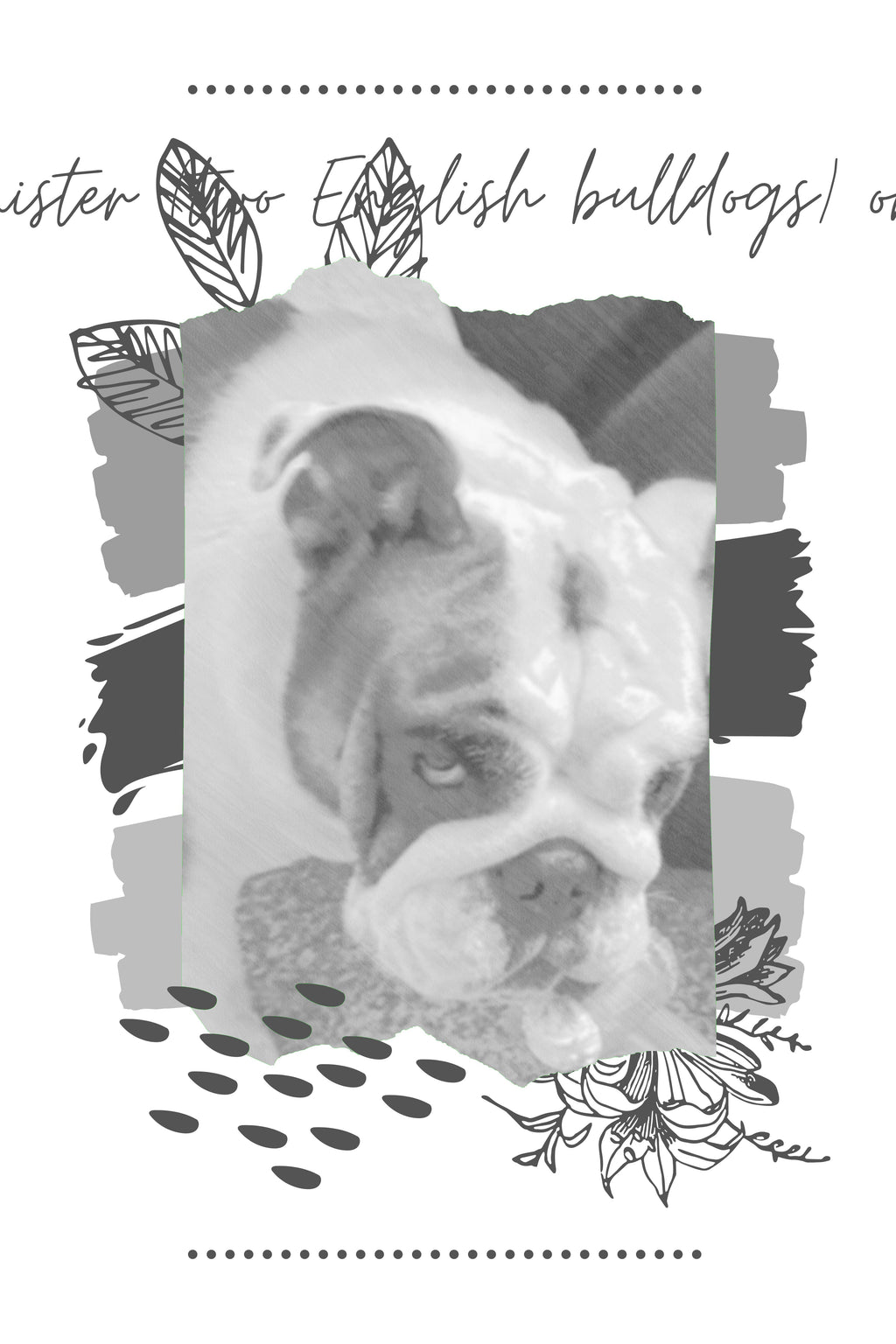 Harley Sue, Mister (two English bulldogs) or my 32 pound cat Baxter the Magnificent: Sketch Art Canvas