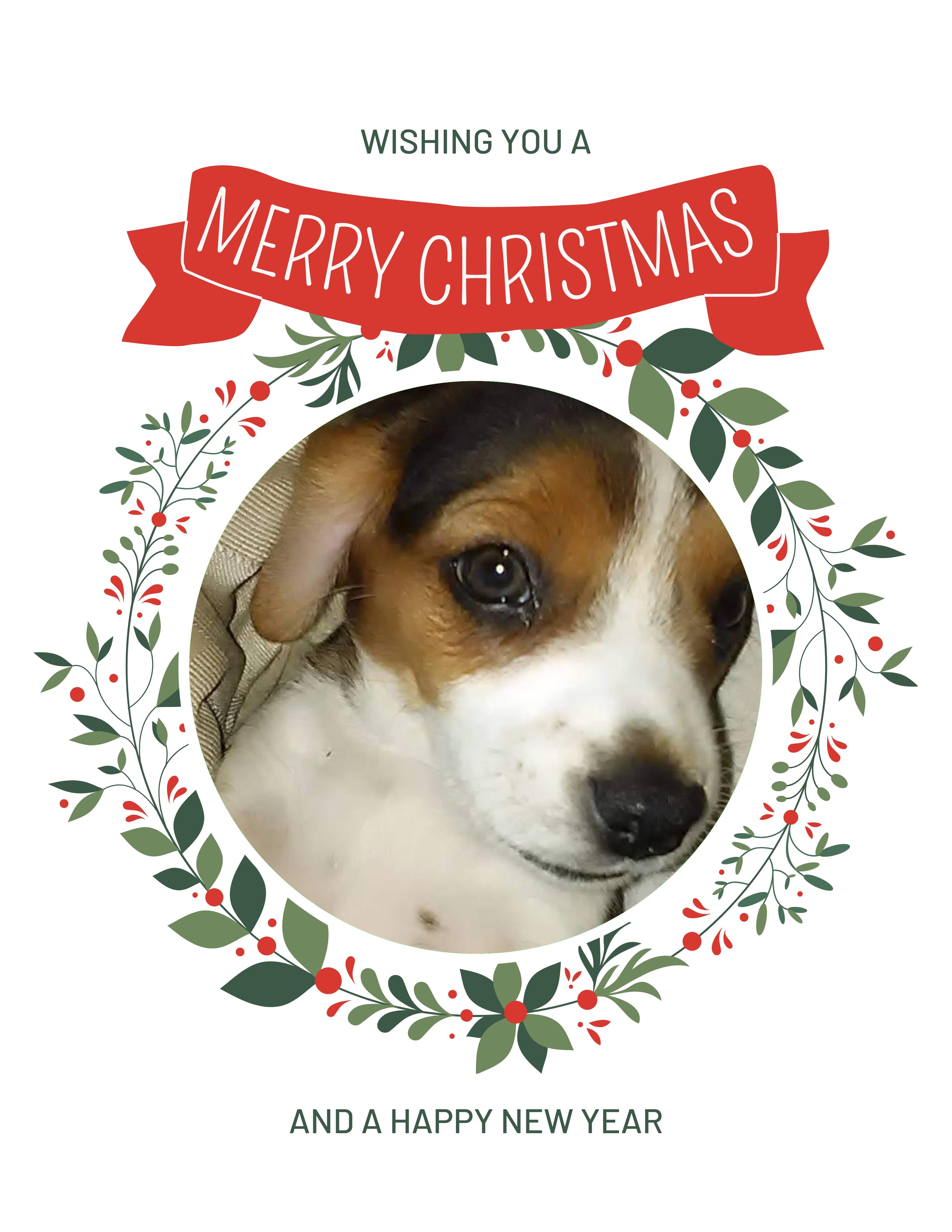 Beagles Christmas Greeting Cards