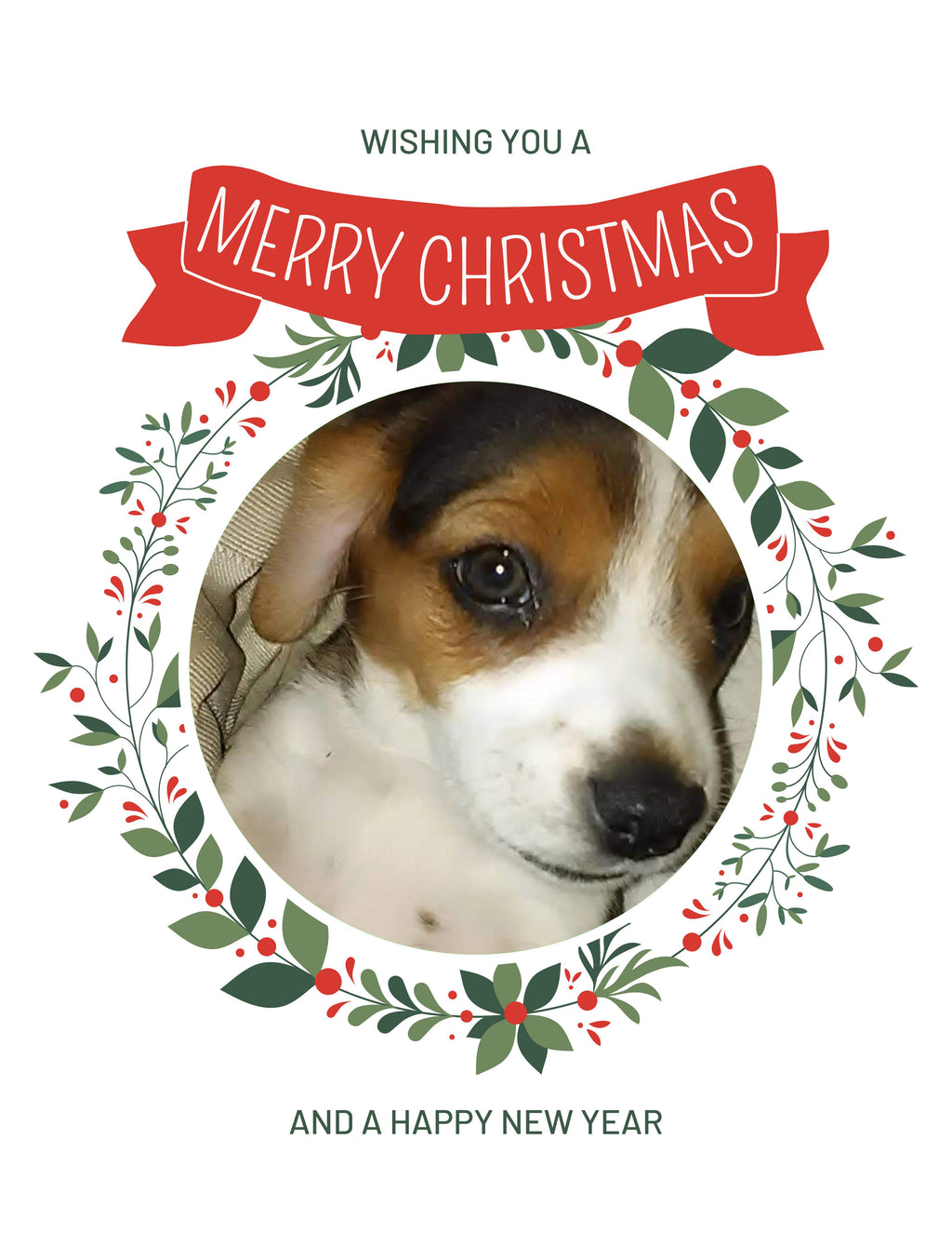 Beagles Christmas Greeting Cards