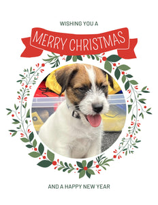 Jack Russell terrier Christmas Greeting Cards