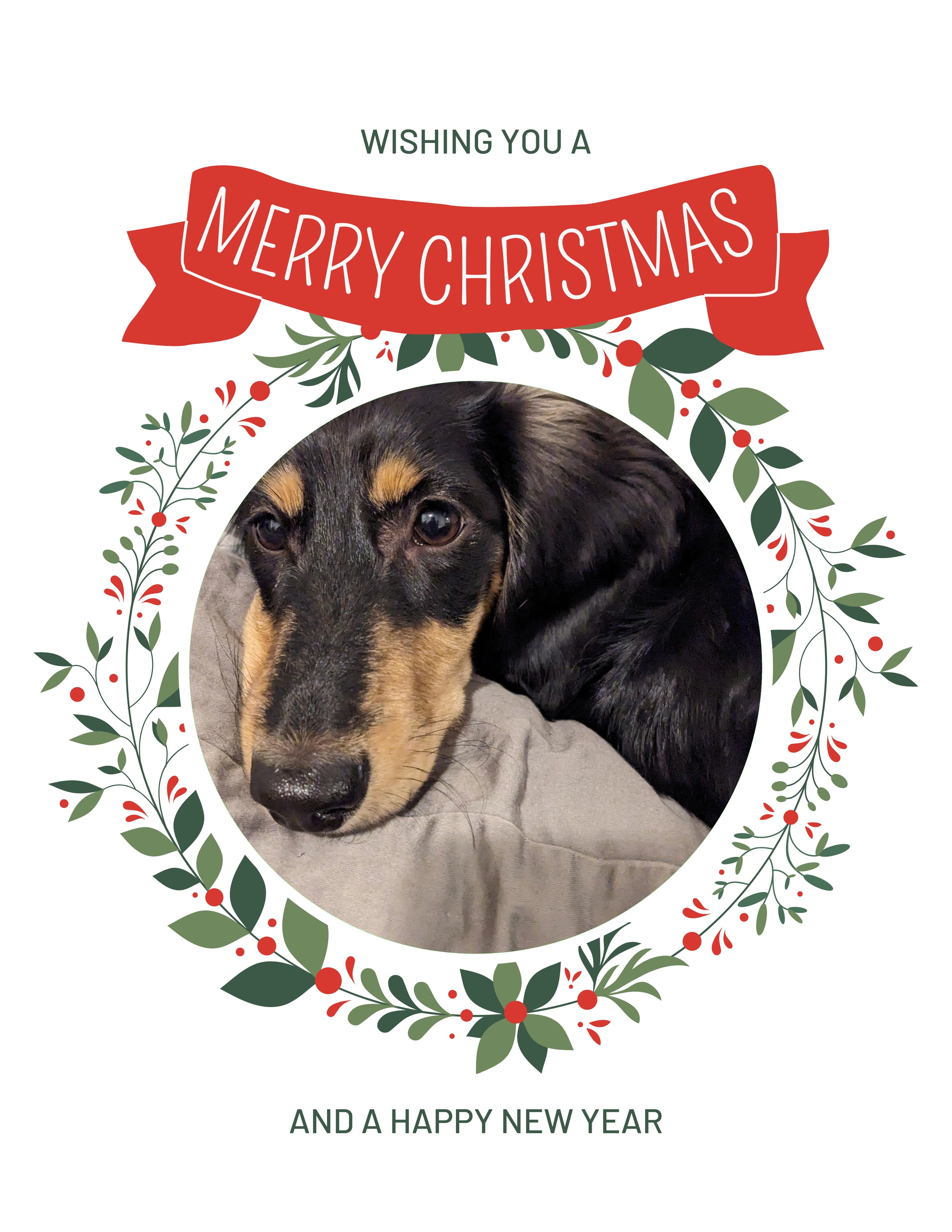 Puff The Magic Dachshund Christmas Greeting Cards