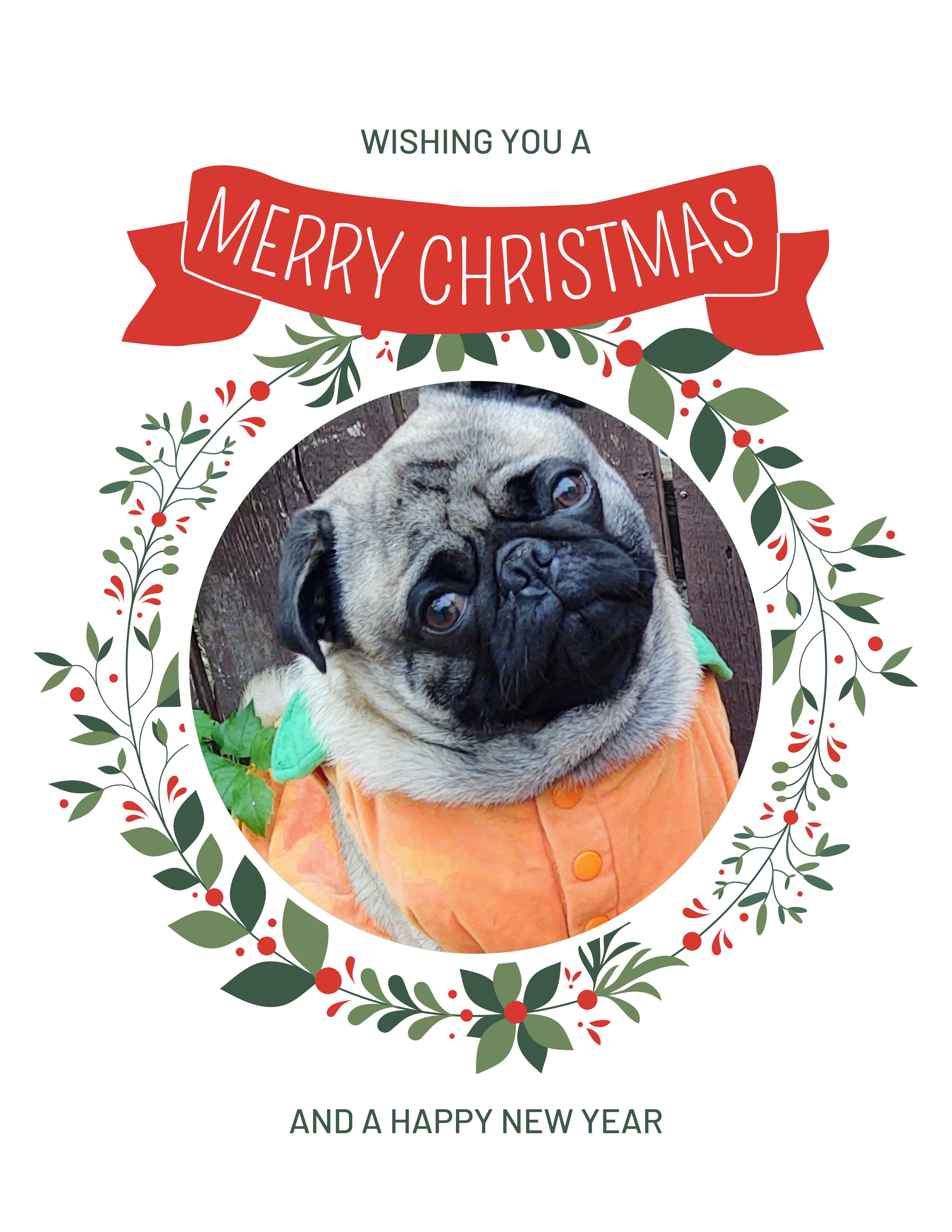 Pugsy Christmas Greeting Cards