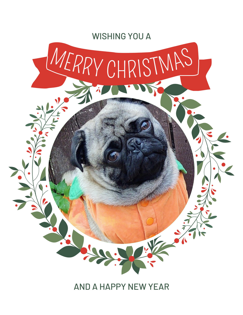 Pugsy Christmas Greeting Cards