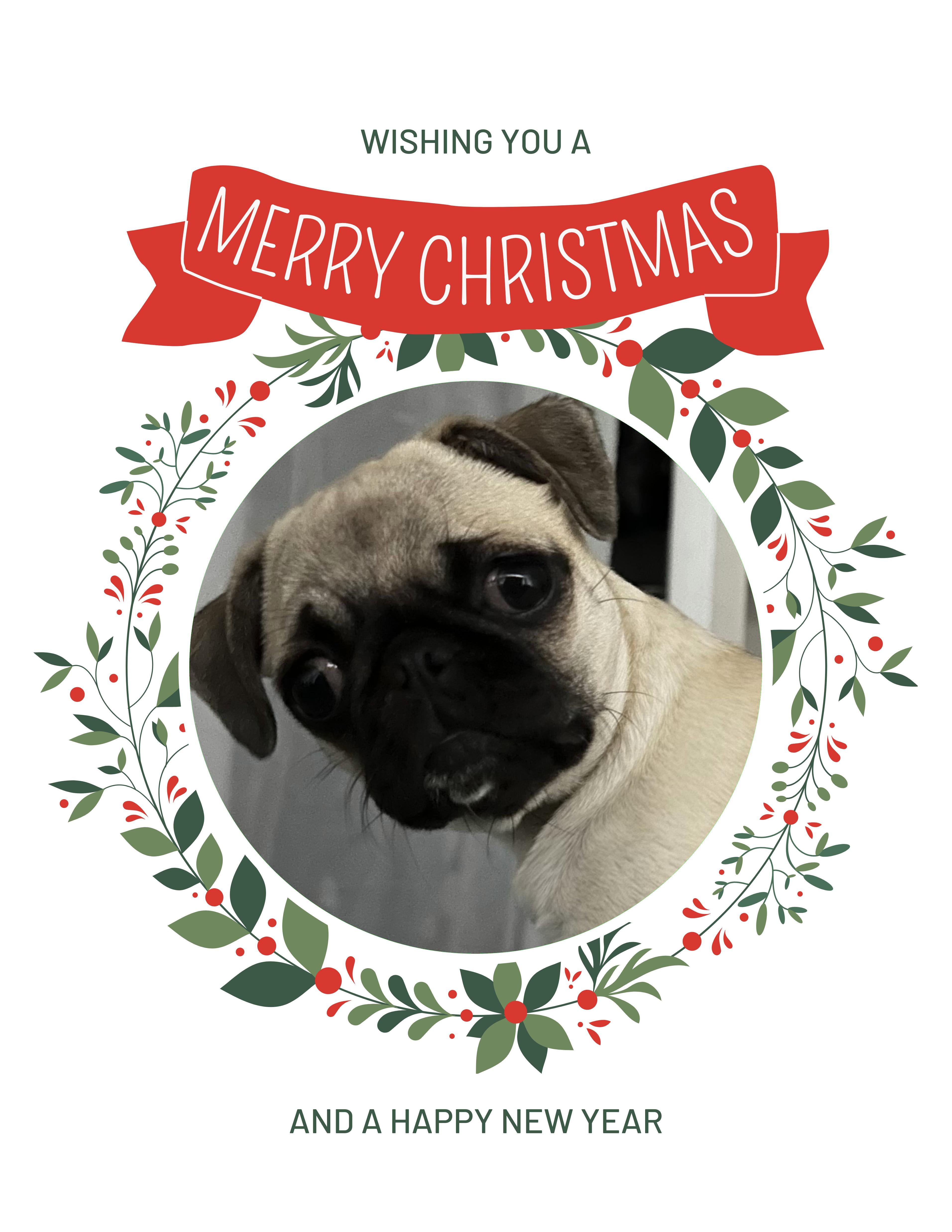 Pugsley Christmas Greeting Cards