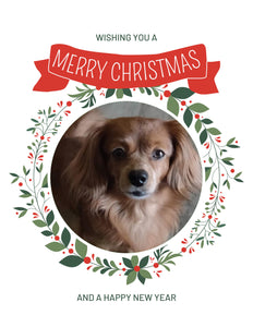 Shih Tzu long-haired Dotson Christmas Greeting Cards