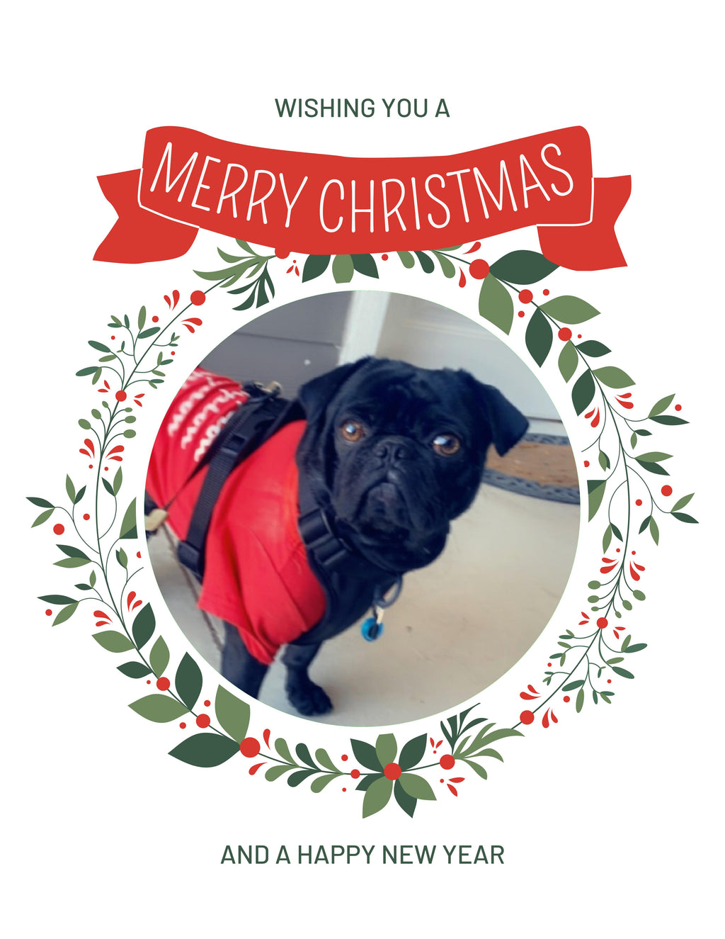 Pugs McKenzie Christmas Greeting Cards