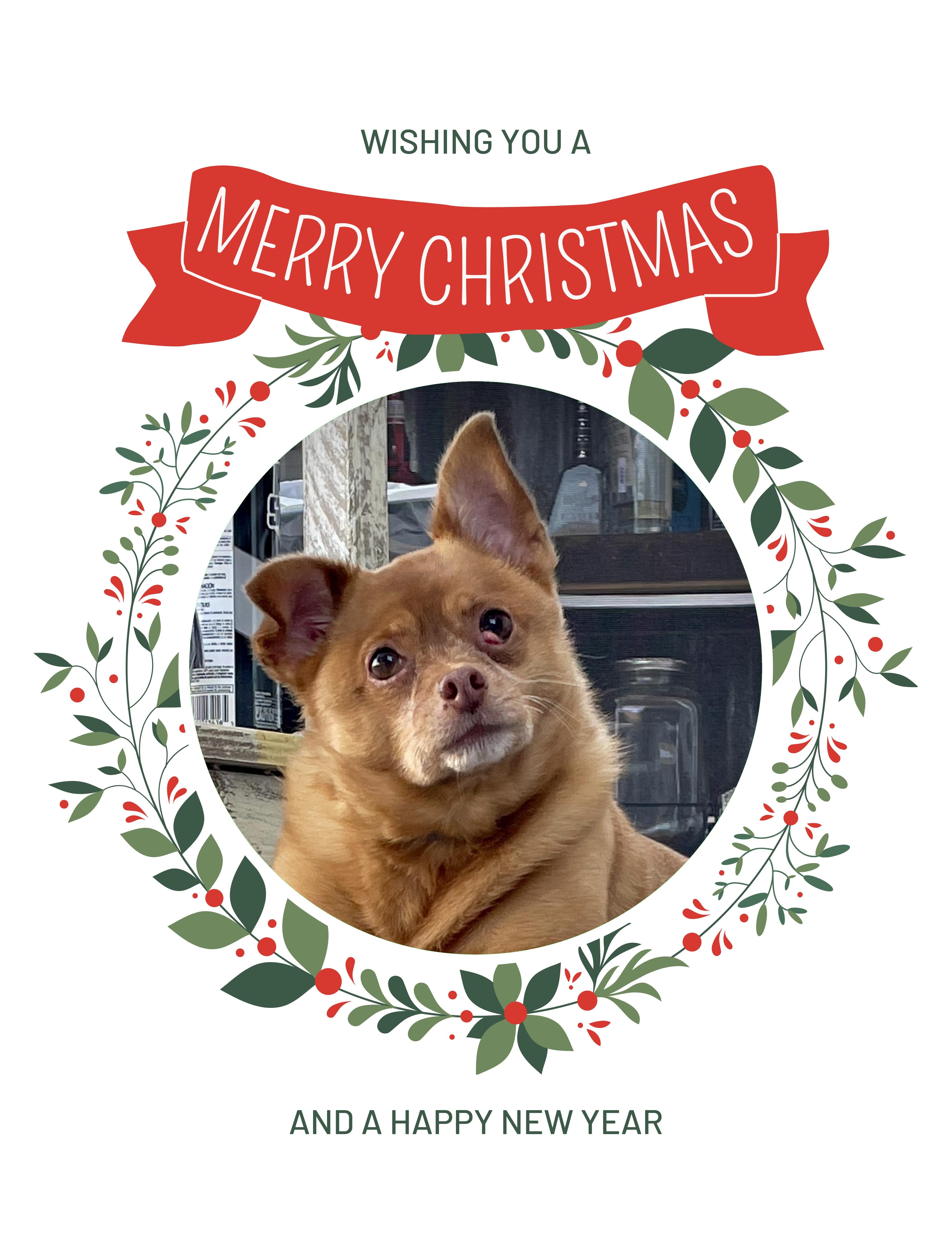 Chihuahua Christmas Greeting Cards