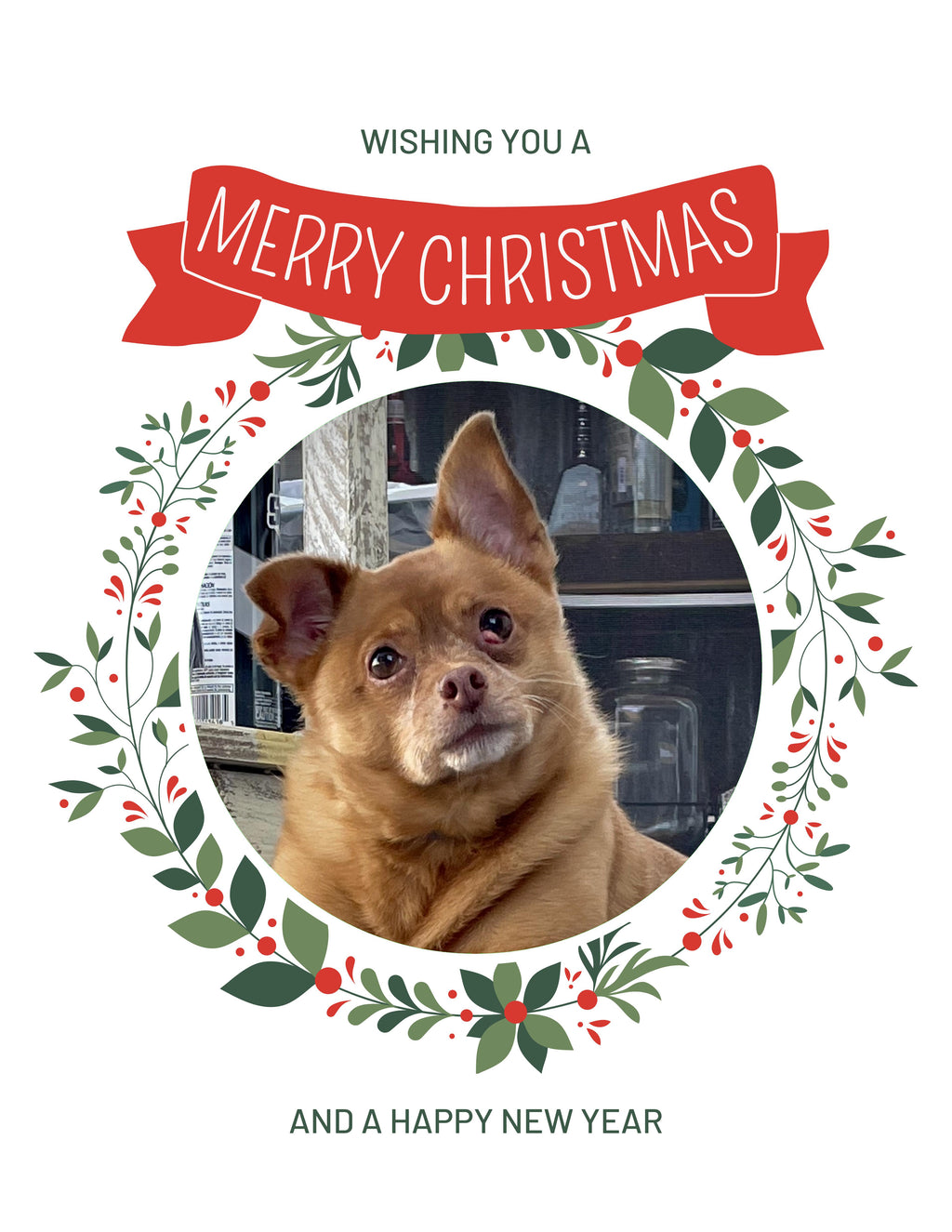 Chihuahua Christmas Greeting Cards