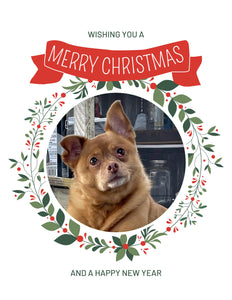 Chihuahua Christmas Greeting Cards