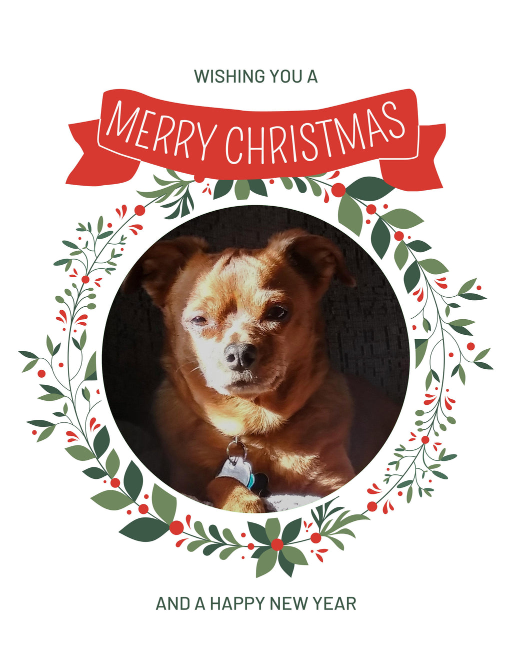 Chihuahua Mix Christmas Greeting Cards