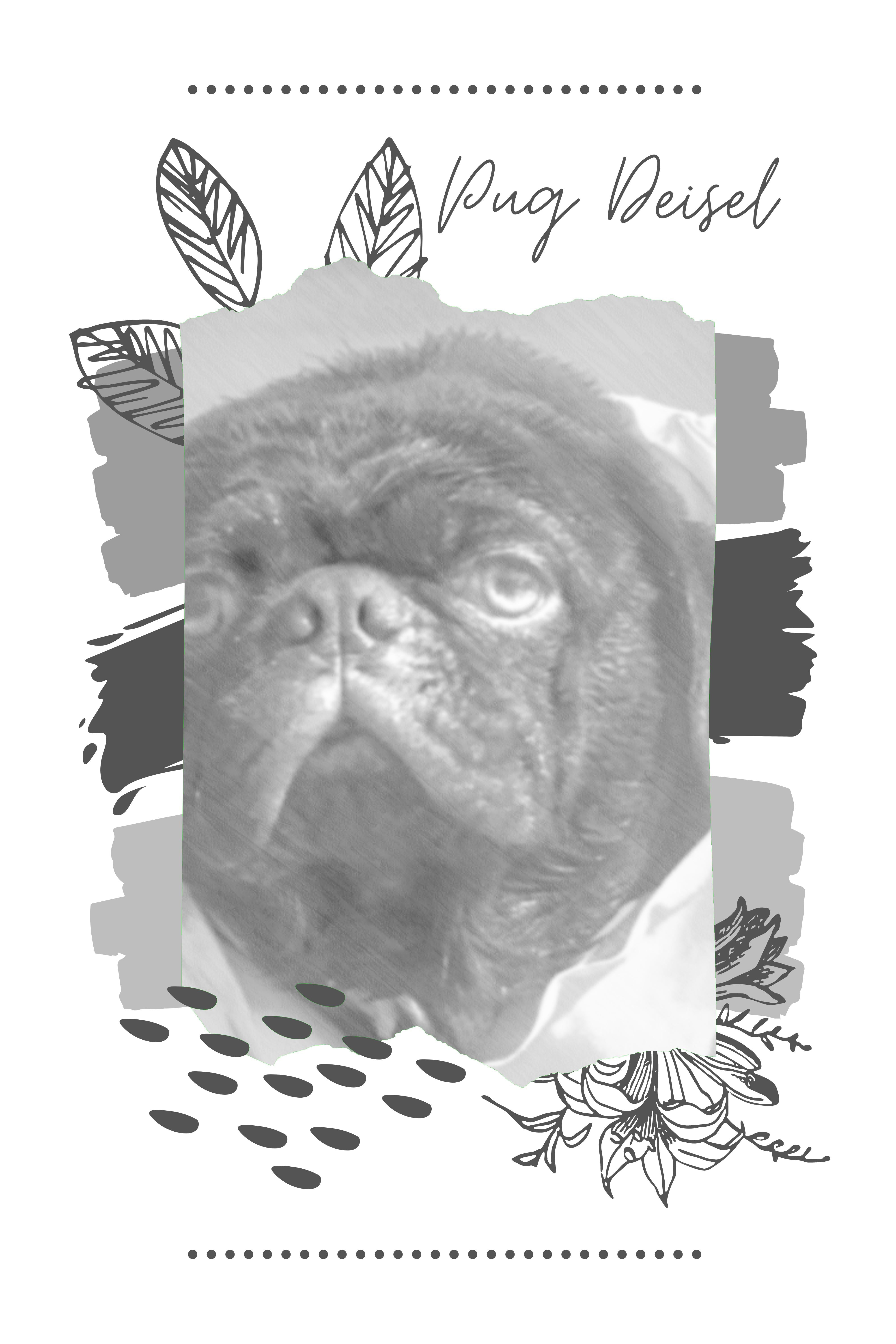 Pug Deisel the Magnificent: Sketch Art Canvas