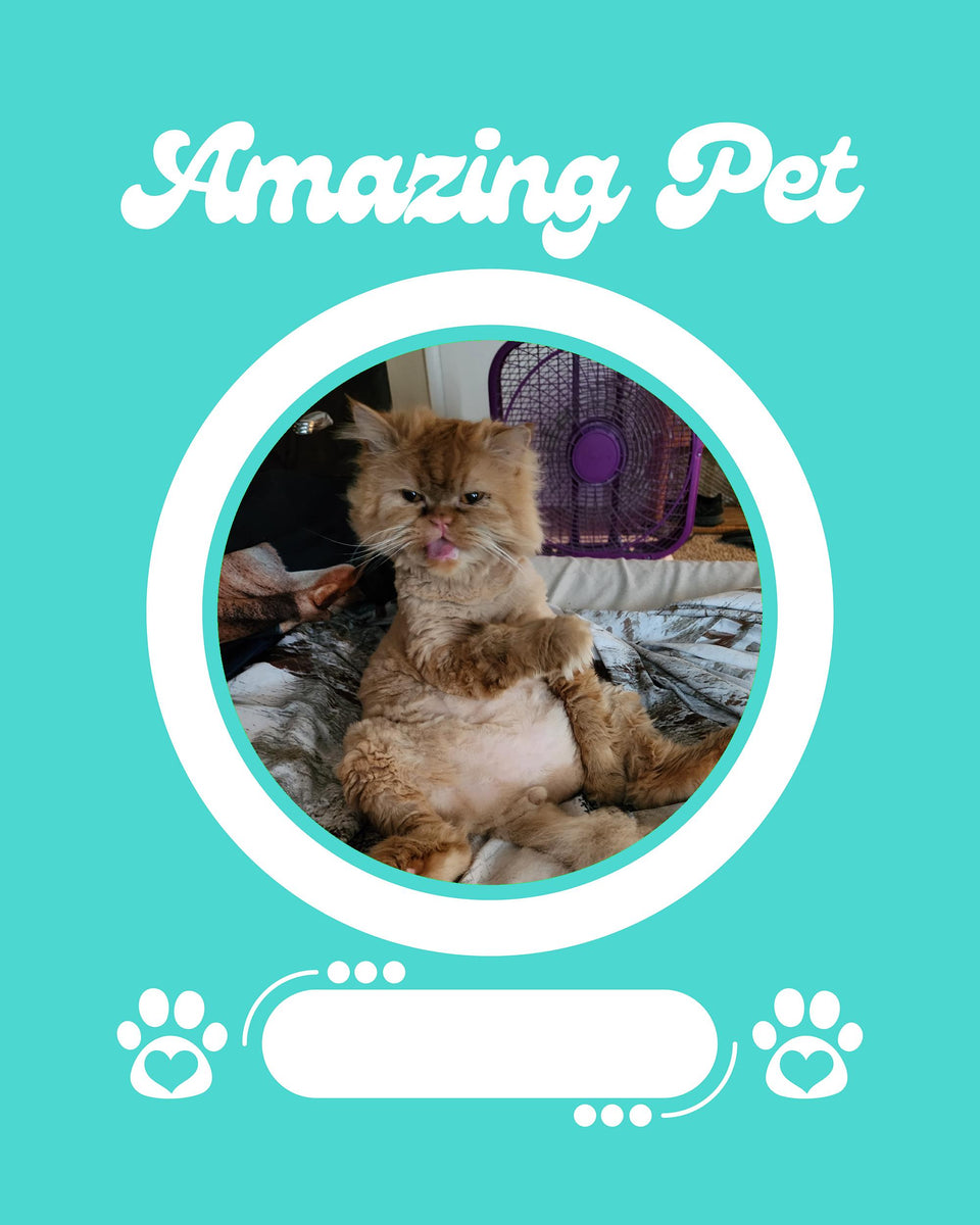 Amazing Pet: The Poster (Pre-Order) – Praise My Pet!