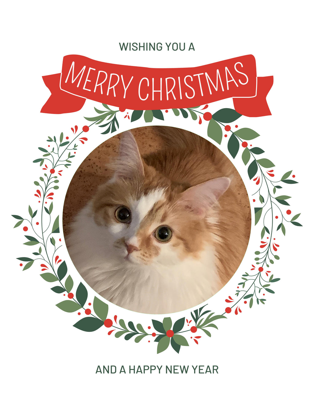 Maine Coon Cat Christmas Greeting Cards